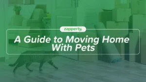 A Guide to Moving Home With Pets