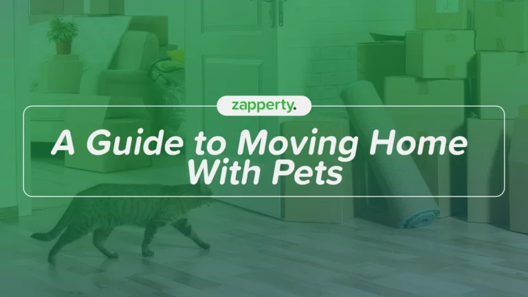 A Guide to Moving Home With Pets
