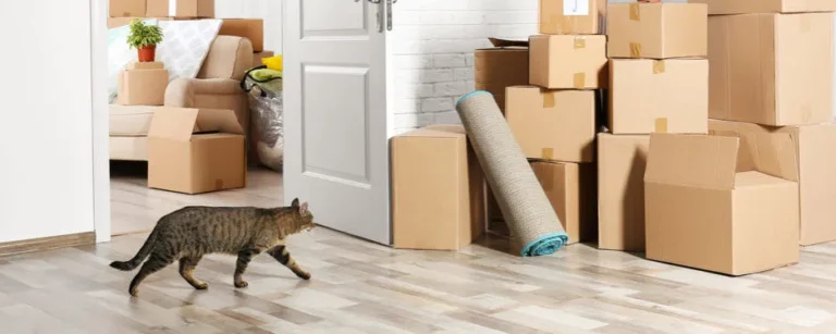 A guide to moving home with pets